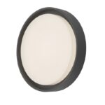 Ralph Large Outdoor Wall Light Anthracite IP65 LED
