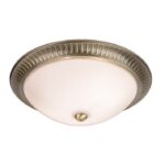 Brahm 2lt Flush