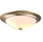 Brahm 2lt Flush - Image 3