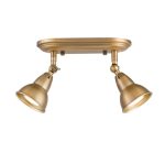 Nathaniel 2lt Plate Spotlight Aged Brass