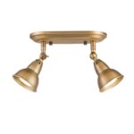 Nathaniel 2lt Plate Spotlight Aged Brass