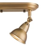 Nathaniel 2lt Plate Spotlight Aged Brass - Image 2