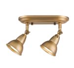 Nathaniel 2lt Plate Spotlight Aged Brass - Image 3