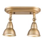 Nathaniel 2lt Plate Spotlight Aged Brass - Image 4