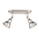Nathaniel 2lt Plate Spotlight Polished Nickel