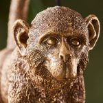 Capuchin Table - Image 5