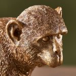 Capuchin Table - Image 6