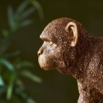 Capuchin Table - Image 7
