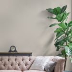 Laura Ashley 2.5L Matt Emulsion Paint Ivory - Image 5
