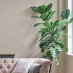 Laura Ashley 2.5L Matt Emulsion Paint Soft Natural - Image 5