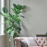 Laura Ashley 2.5L Matt Emulsion Paint Pale Sage Leaf - Image 5