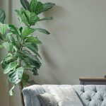Laura Ashley 2.5L Matt Emulsion Paint Sage Leaf - Image 5