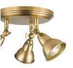 Nathaniel 3lt Plate Spotlight Aged Brass - Image 2