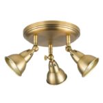 Nathaniel 3lt Plate Spotlight Aged Brass