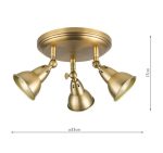Nathaniel 3lt Plate Spotlight Aged Brass - Image 4